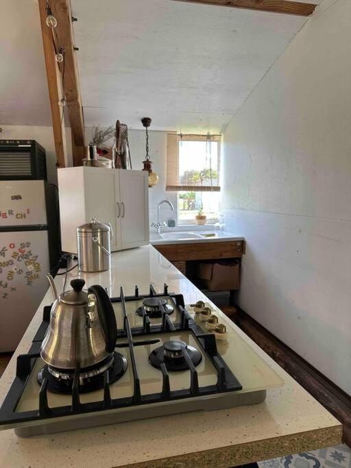 Cosy Cabane Boise Solaire, Balneo Bath Et Toilette Seche A La Ferme Mimizan-Plage エクステリア 写真